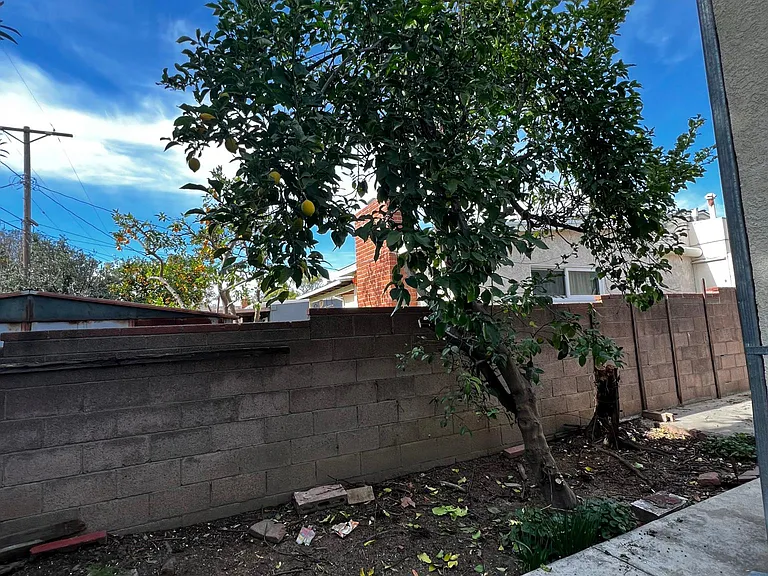 16638 Haynes St — Photo 13