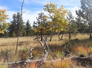 2348 Campfire Rd #1472, Hartsel, CO 80449