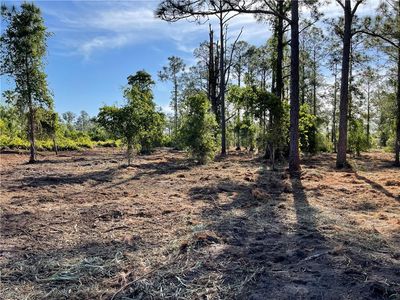 1288 Cypress Ave, Labelle, FL, 33935