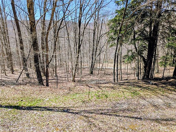 5th image of 198 Spring Run Rd