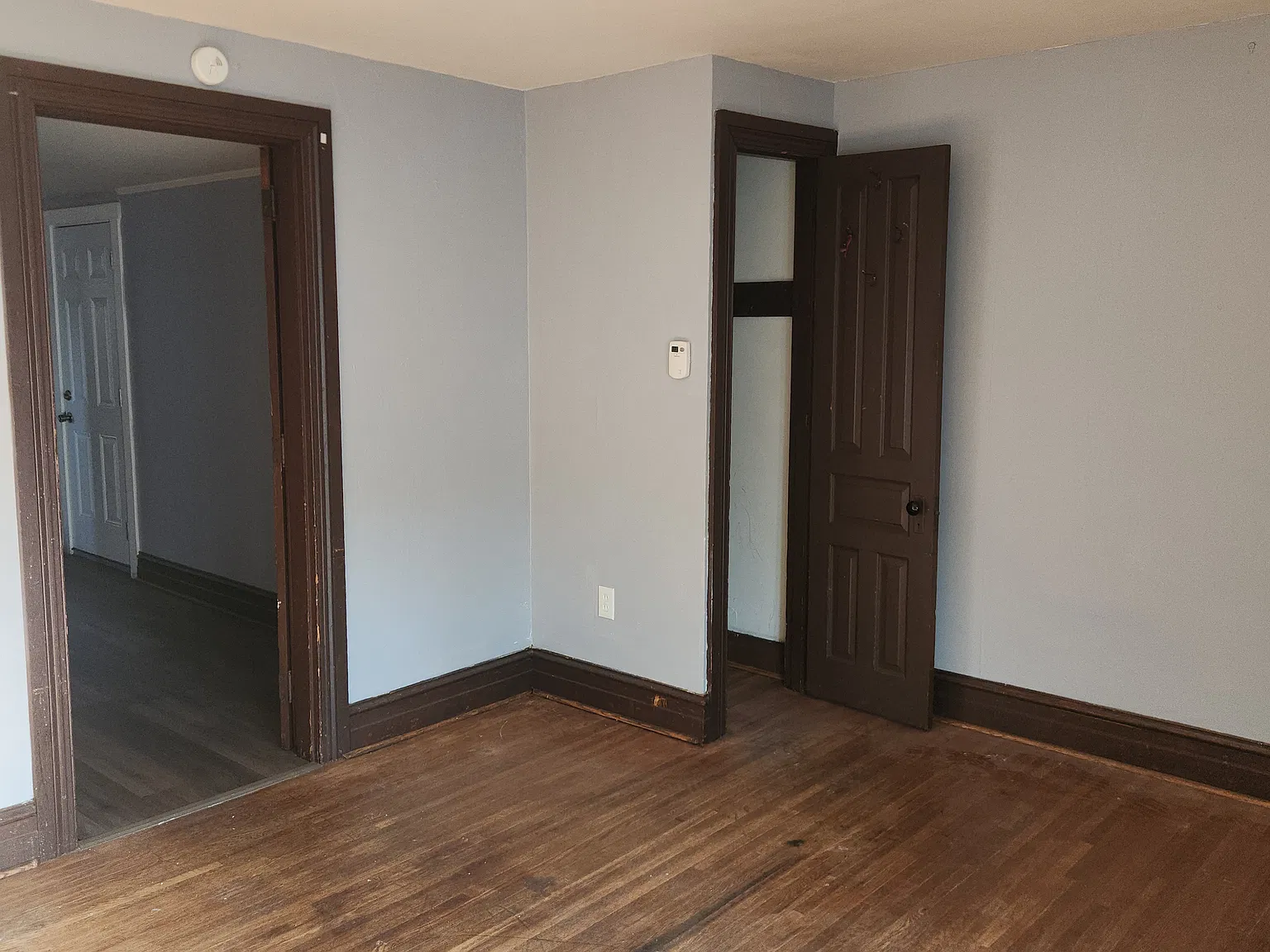 1 bed, $900 — Photo 2