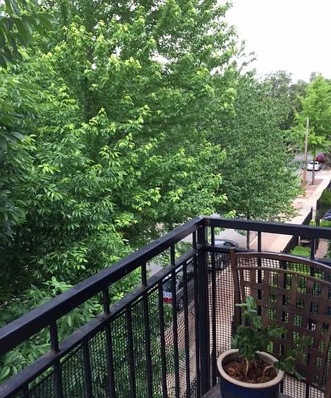 3535 Wyandotte St #A — Photo 8