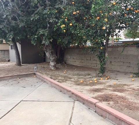 Very Large BackyardKitchen