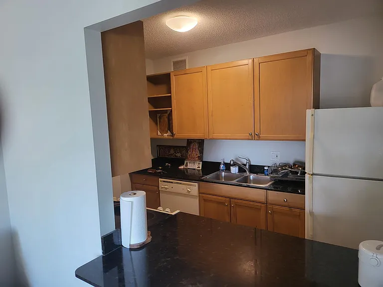 400 N Lasalle St #2803 — Photo 9