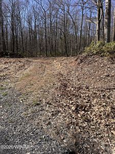 PARCEL 103 State Route 239 Hwy, Benton, PA, 17814
