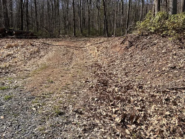 PARCEL 103 State Route 239 Hwy, Benton, PA 17814