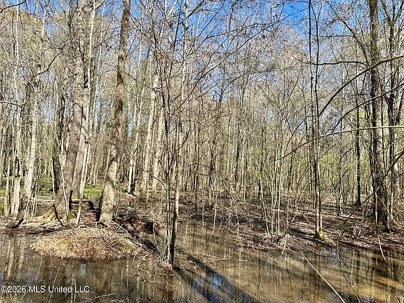 4th image of 0 Swamp Rd