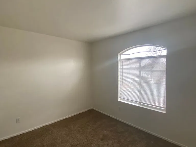 275 Star Cluster Cir — Photo 24