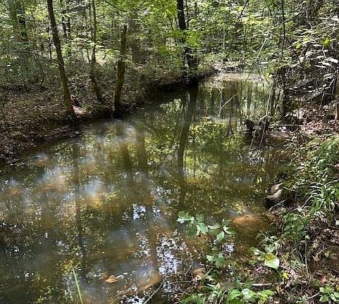 4th image of 0 Ross Hollow Rd