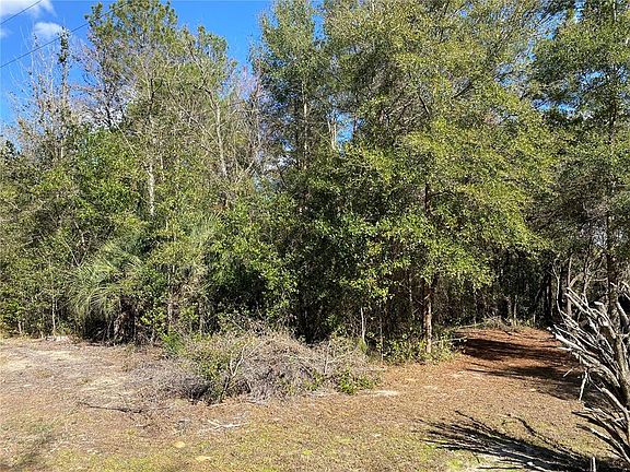 4th image of 2085 SW Algiers Ct Lot 40