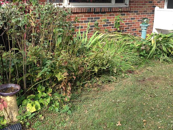 Front yard Garden
