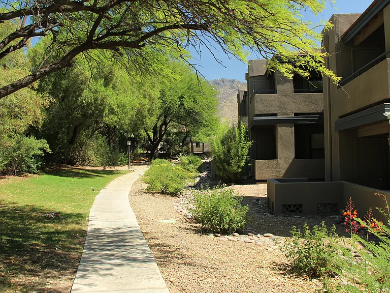 5855 N Kolb Rd #2104 — Photo 45