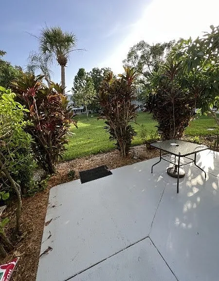 Large backyard