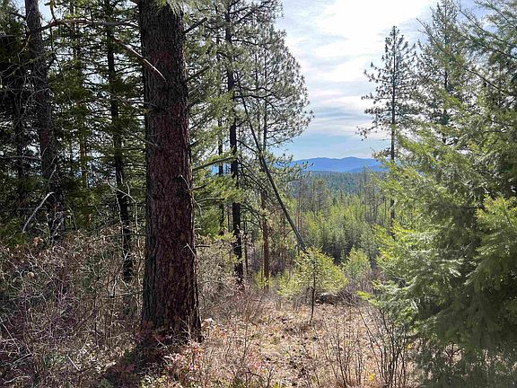 3rd image of Nka Orin Rice Rd