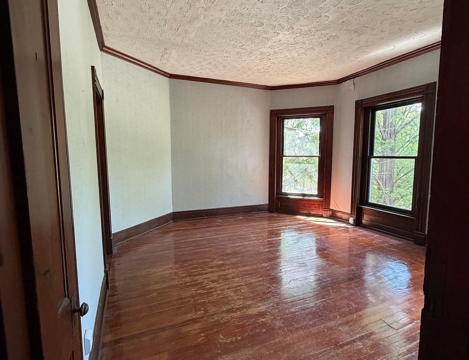 1 bed, $850 — Photo 3