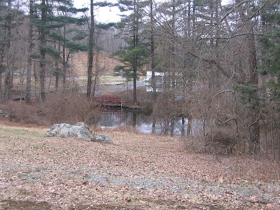 Winter view over pond