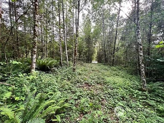 5th image of 0 Spirit Lake Highway #0006