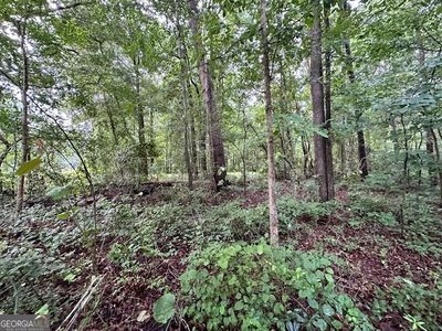0 Nowhere Rd, Nicholson, GA, 30565