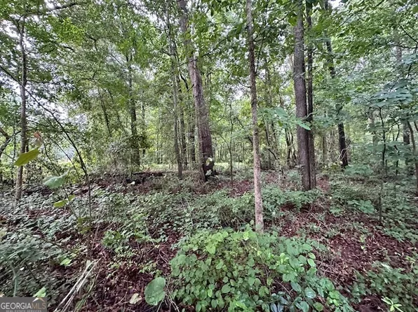 0 Nowhere Rd, Nicholson, GA 30565
