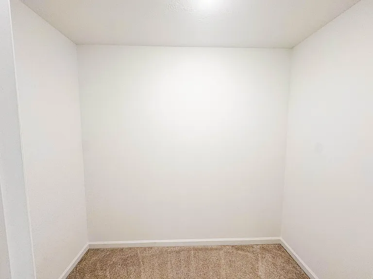 239 Prominence Dr — Photo 21