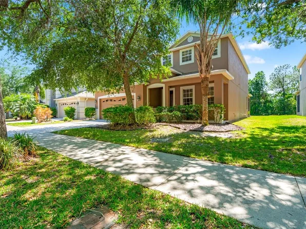 10617 Lucaya Dr, Tampa, FL 33647