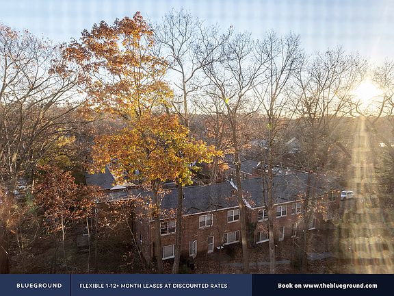 Window View