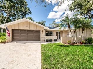 111 Nestlebranch Dr, Safety Harbor, FL 34695