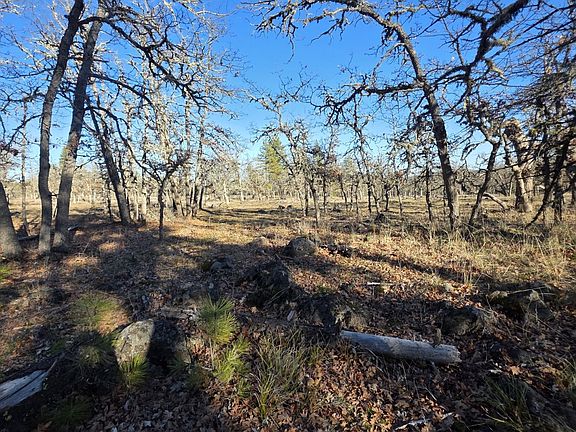2nd image of LOT 119