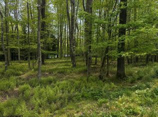 Lots 175 & 176 Laurel Cir, Terra Alta, WV 26764