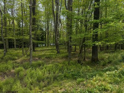 Lots 175 & 176 Laurel Cir, Terra Alta, WV, 26764