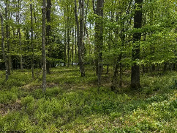 Lots 175 & 176 Laurel Cir, Terra Alta, WV 26764