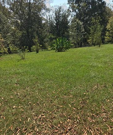 4th image of 1043 Blue Ridge Ln