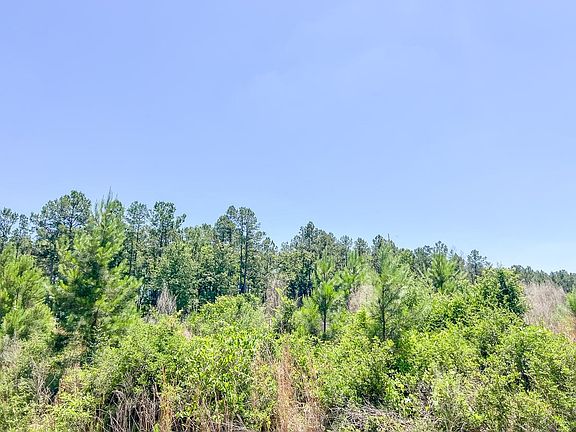 5th image of T 1 Union Springs Rd
