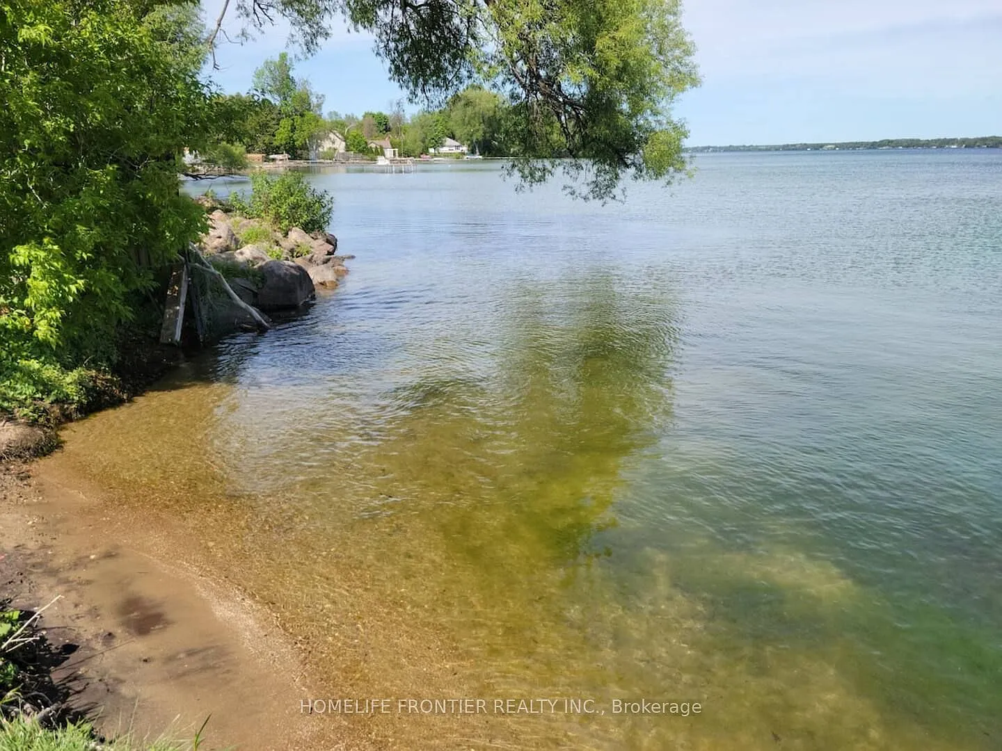1 bed, $1,550 — Photo 2