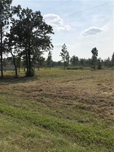 Bel Fire Tower Rd, Reeves, LA, 70658