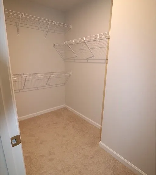 419 Burden Dr — Photo 40
