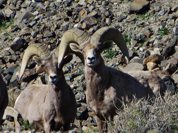 0 Lakeshore Dr, Hawthorne, NV 89415