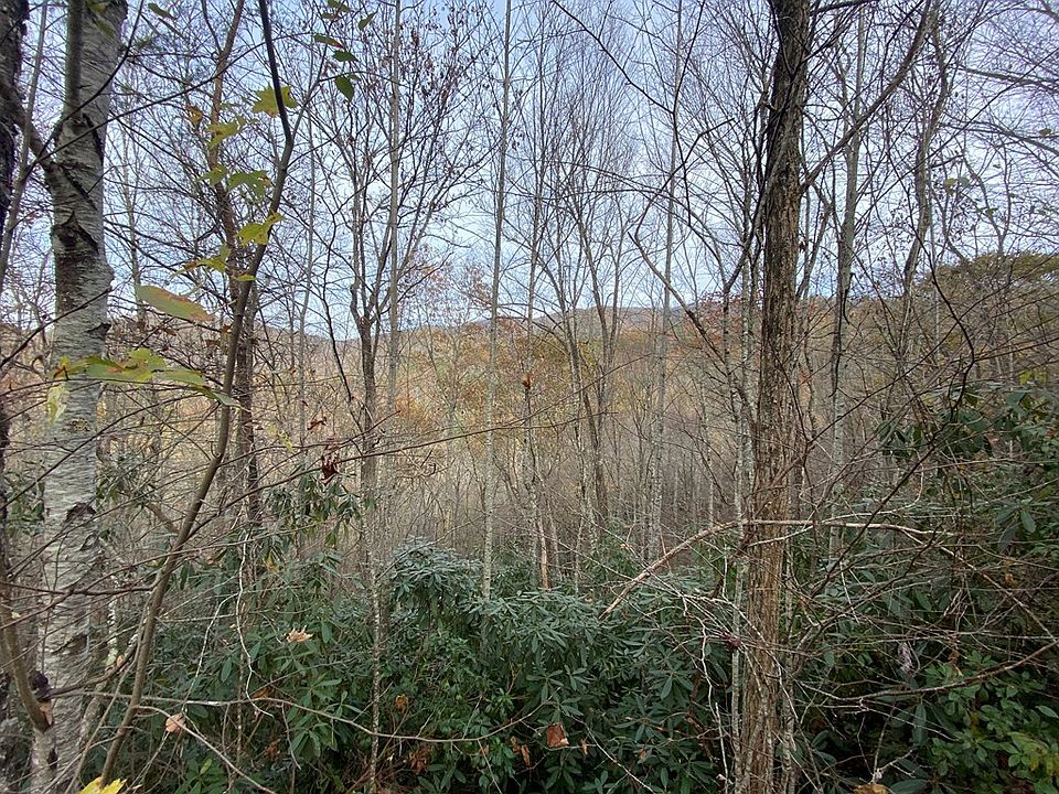 2nd image of 0 Loon Ln Lot 50
