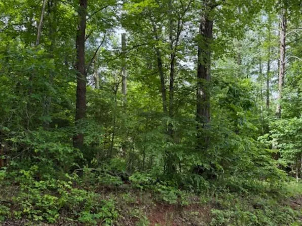 0 E Pamplin Rd, Pamplin, VA 23958