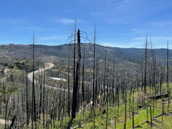 1411 Pipeline Rd, Hayfork, CA 96041