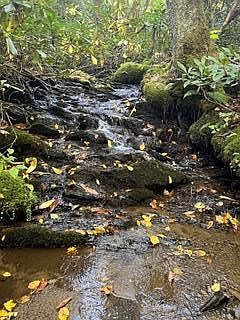 4th image of 2778 Mule Stomp Rd