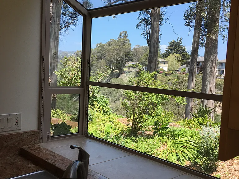 View from the kitchen green house window