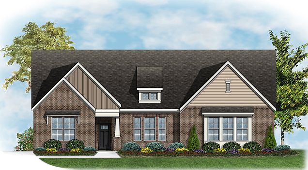 Elevation Image 0.
