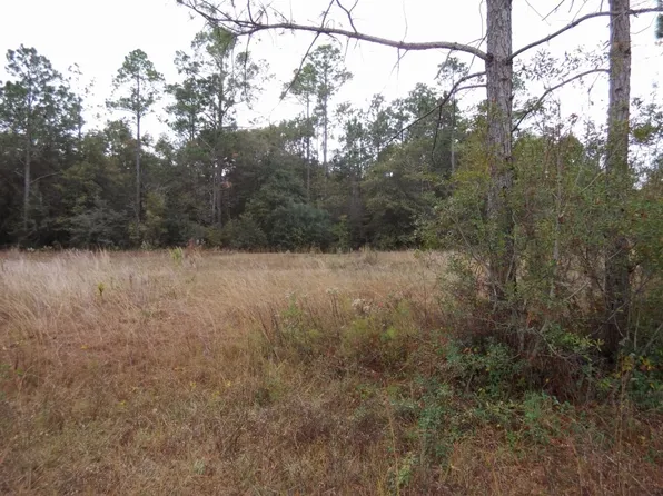 12125 Stanley Dr, Fountain, FL 32438