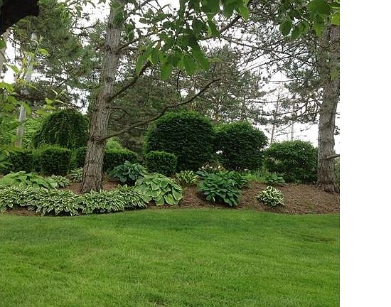 4th image of 6488 Maple Hills Dr #1