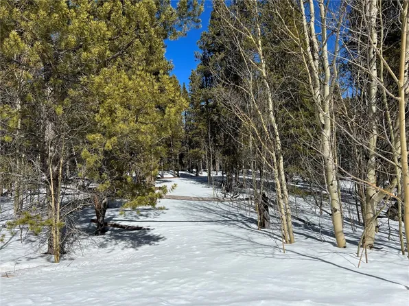 92 Ski Doo Rd, Fairplay, CO 80440