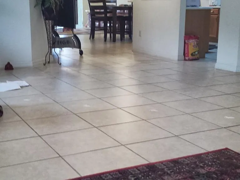 9010 Cormorant Ct — Photo 6
