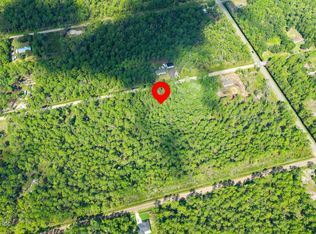 10630 Erickson Ave, Hastings, FL 32145