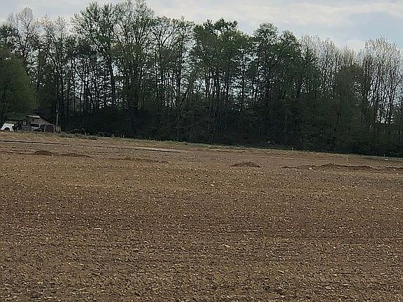 5th image of 383 Hainsview Dr