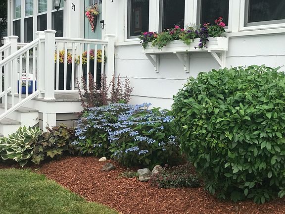 Front Yard